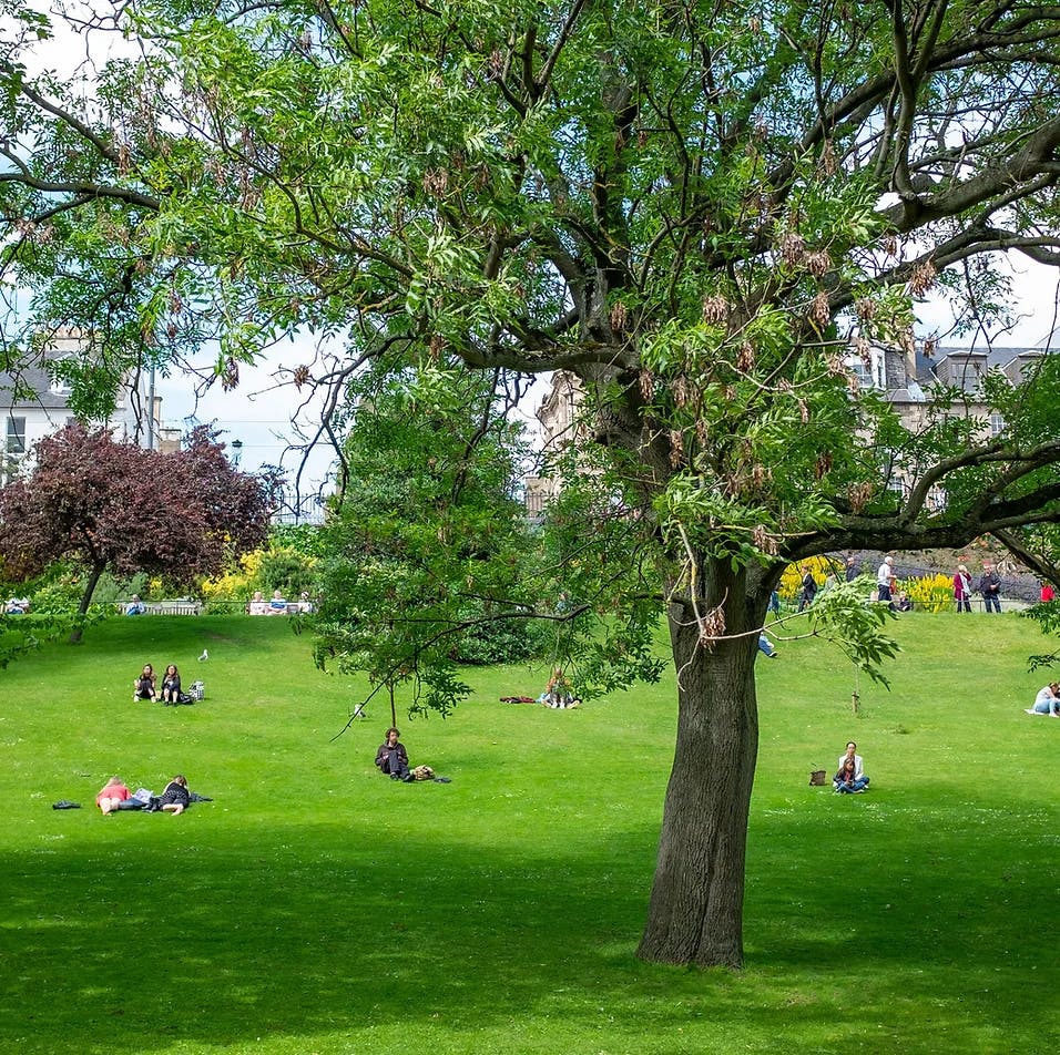 image of open green space
